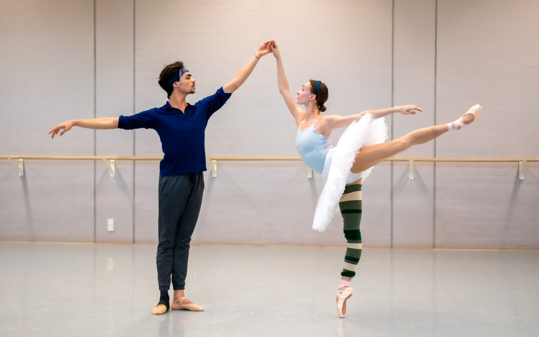 NATIONAL OPERA & BALLET – ARTISTIC ASYLUM FOR REFUGEE ARTISTS