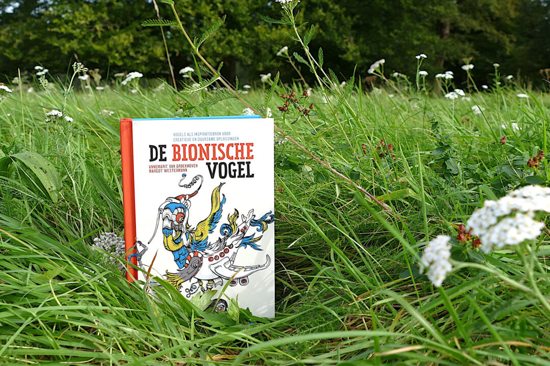 THE BIONIC BIRD – BIRDS AS A SOURCE OF INSPIRATION FOR CREATIVE AND SUSTAINABLE SOLUTIONS