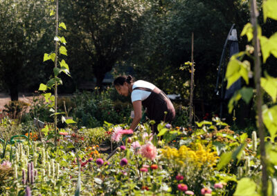 STICHTING CREATING EDGES – BLOEI & GROEI HEALING GARDEN