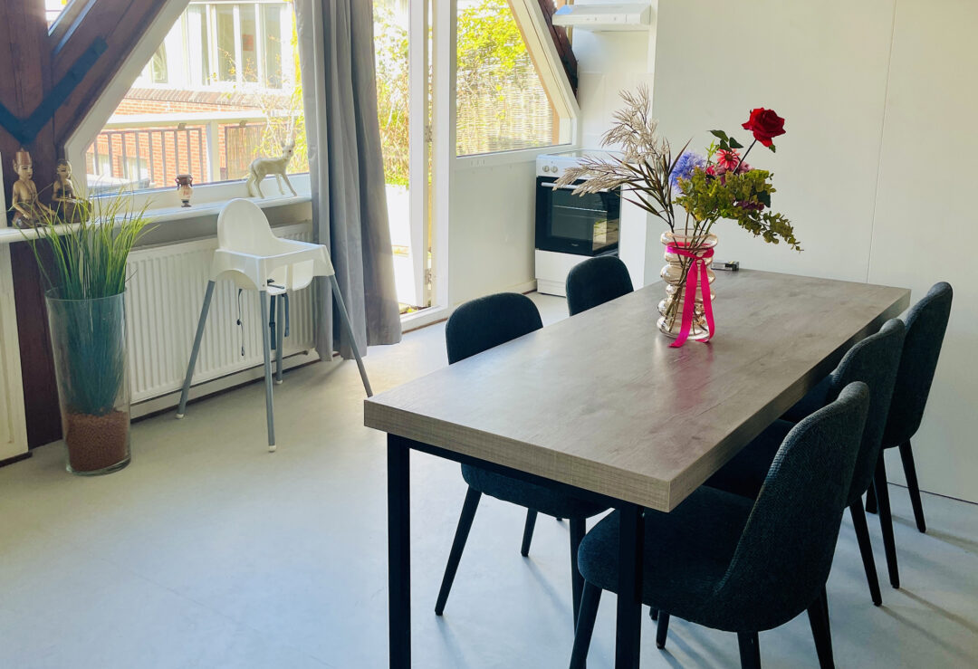 STICHTING DE REGENBOOG GROEP